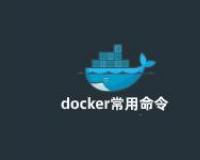 Linux开发之docker常用命令的使用